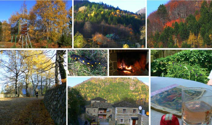 Fundjava ne Shqiperi